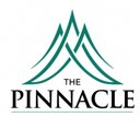 Pinnacle of Oxford company logo