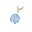 Mulberrys Garment Care company logo