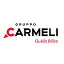 Gruppo Carmeli company logo