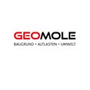 GEOMOLE GmbH company logo
