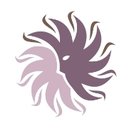 New Mexico Cancer Center company logo