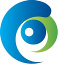 P-11 SECURITY company logo