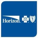 Horizons Healthcare Services company logo