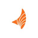 BRISANET TELECOMUNICAÇOES company logo