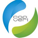 Cap Vert company logo