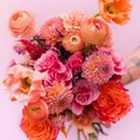 Saville Flowers & Gifts company logo