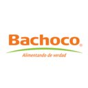 GRUPO BACHOCO company logo