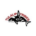 Tulalip Tribes company logo