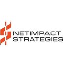 NetImpact Strategies company logo
