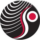 Security 101 company logo