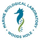 Marine Biological Laboratory company logo