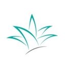 The iidea company company logo