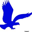 First Insurance Group company logo