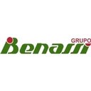 Benassi Minas company logo