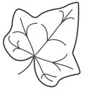 Green Ivy Service GmbH company logo