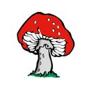 Stichting de Paddestoel company logo