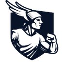 Dyflexis company logo