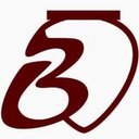 badagi GmbH company logo