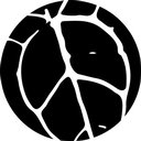 Foliage Dreams company logo
