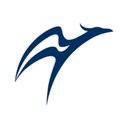 Phoenix Hospital Group company logo