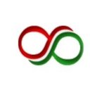 DPS Infotech company logo