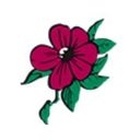 Wild Rows Pump &amp; Compression Ltd. company logo