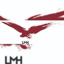 LMH GmbH &amp; Co. KG company logo