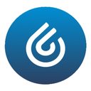 Ignite SAP company logo