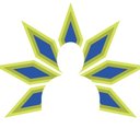 Coleman Health Services company logo
