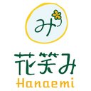 エムアイ・ソリューション株式会社 company logo