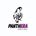 Panthera Group company logo