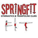 Springfit Gymnastics and Trampoline Clubs company logo