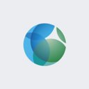 Nippon Gases company logo