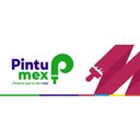 Pintumex company logo