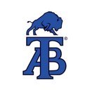 Autotransportes el Bisonte company logo