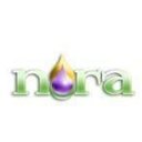 Northern Ohio Recovery Association company logo