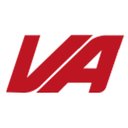 Viesse Auto company logo