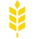Bäckerei Mareis GmbH company logo