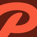 Palmetto Solar company logo