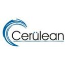 Cerulean Information Technology company logo