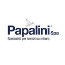 Papalini SpA company logo