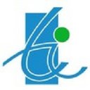 Techversant Infotech company logo