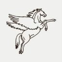 Pegasus InfoCorp company logo
