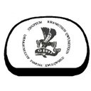 Cowichan Tribes company logo