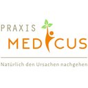 Praxis Medicus company logo