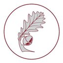 Shire Oak Academy company logo
