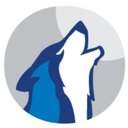 Wolf Consulting, LLC company logo