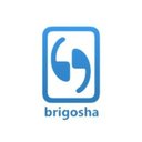Brigosha Technologies company logo