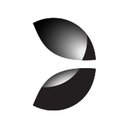 Evolution Americas company logo