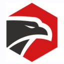 Precision Security Team LLC company logo